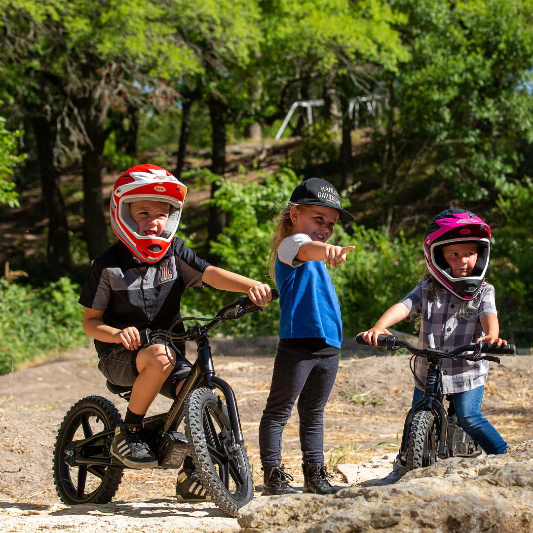 H-D Sanction Helmet by Stacyc Red