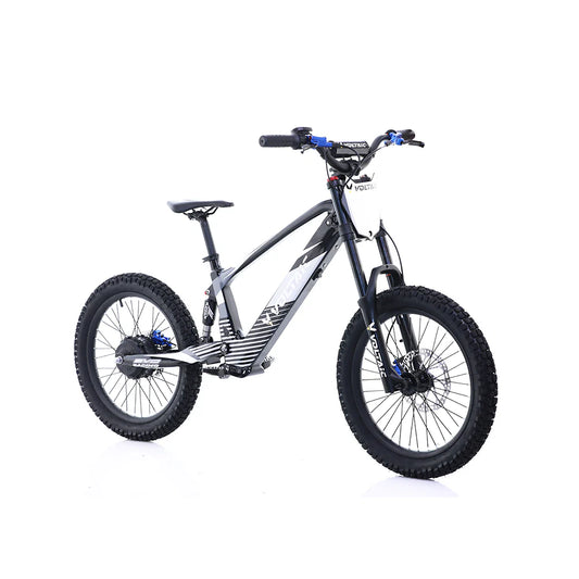 Flying Fox 20'' 48V