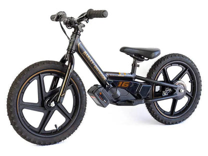 H-D 16eDRIVE BRUSHLESS