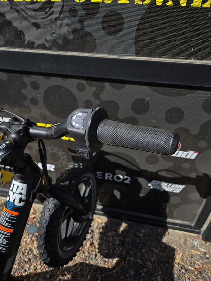Stacyc DIY Hub Drive Conversion