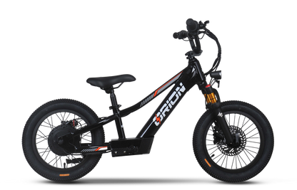 Orion Moto e16X