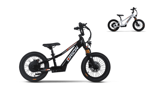 Orion Moto e16X