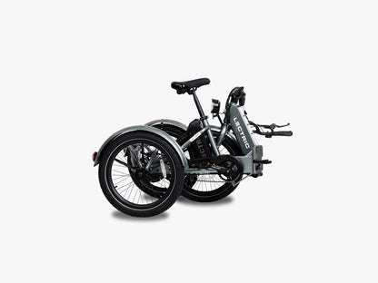 Lectric Trike