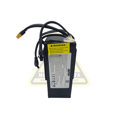 36v Battery – Warrior SX-E500