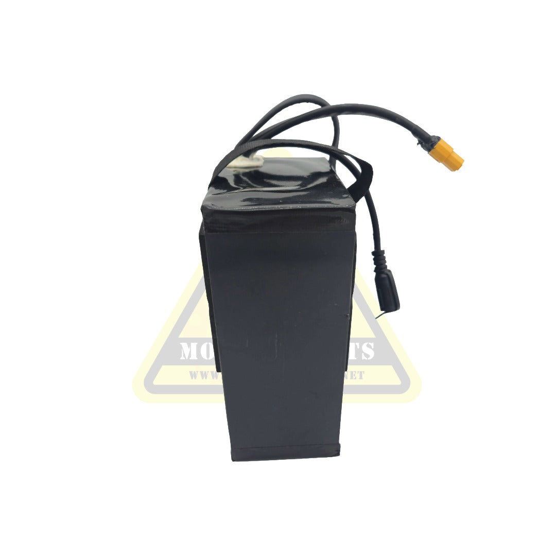 36v Battery – Warrior SX-E500