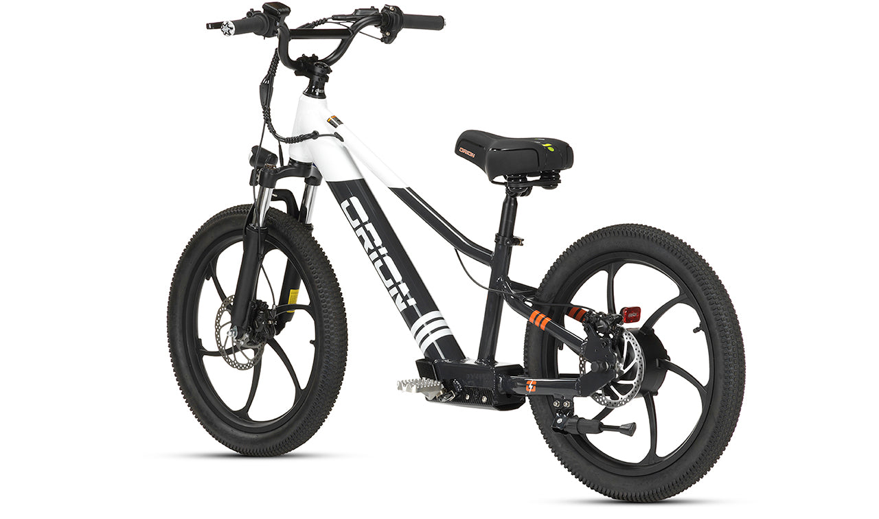 Orion e20X-bikes