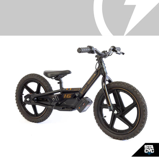 H-D 16eDRIVE BRUSHLESS