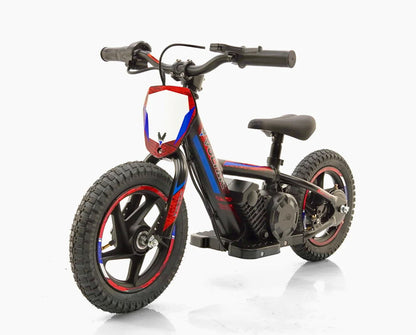 Voltaic Cub 12" - **Pre-Tariff Stock**