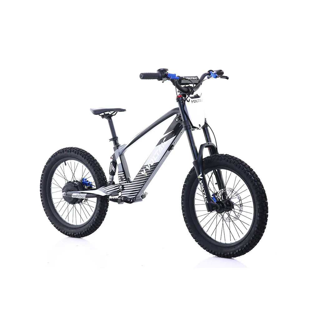 Flying Fox 20'' 48V