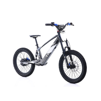 Flying Fox 20'' 48V