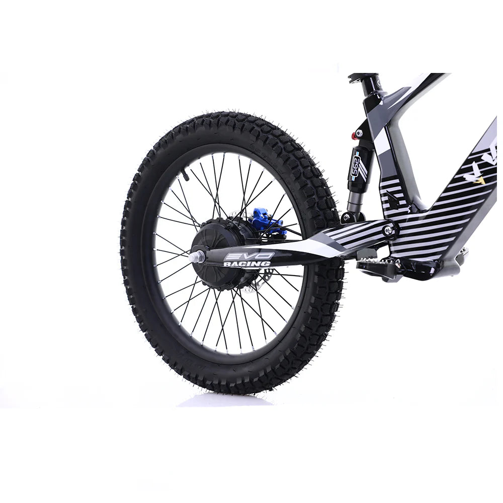 Flying Fox 20'' 48V