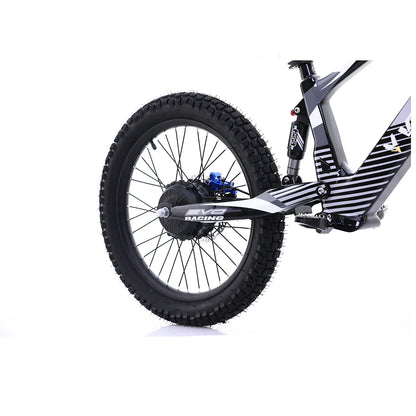 Flying Fox 20'' 48V