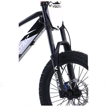Flying Fox 20'' 48V