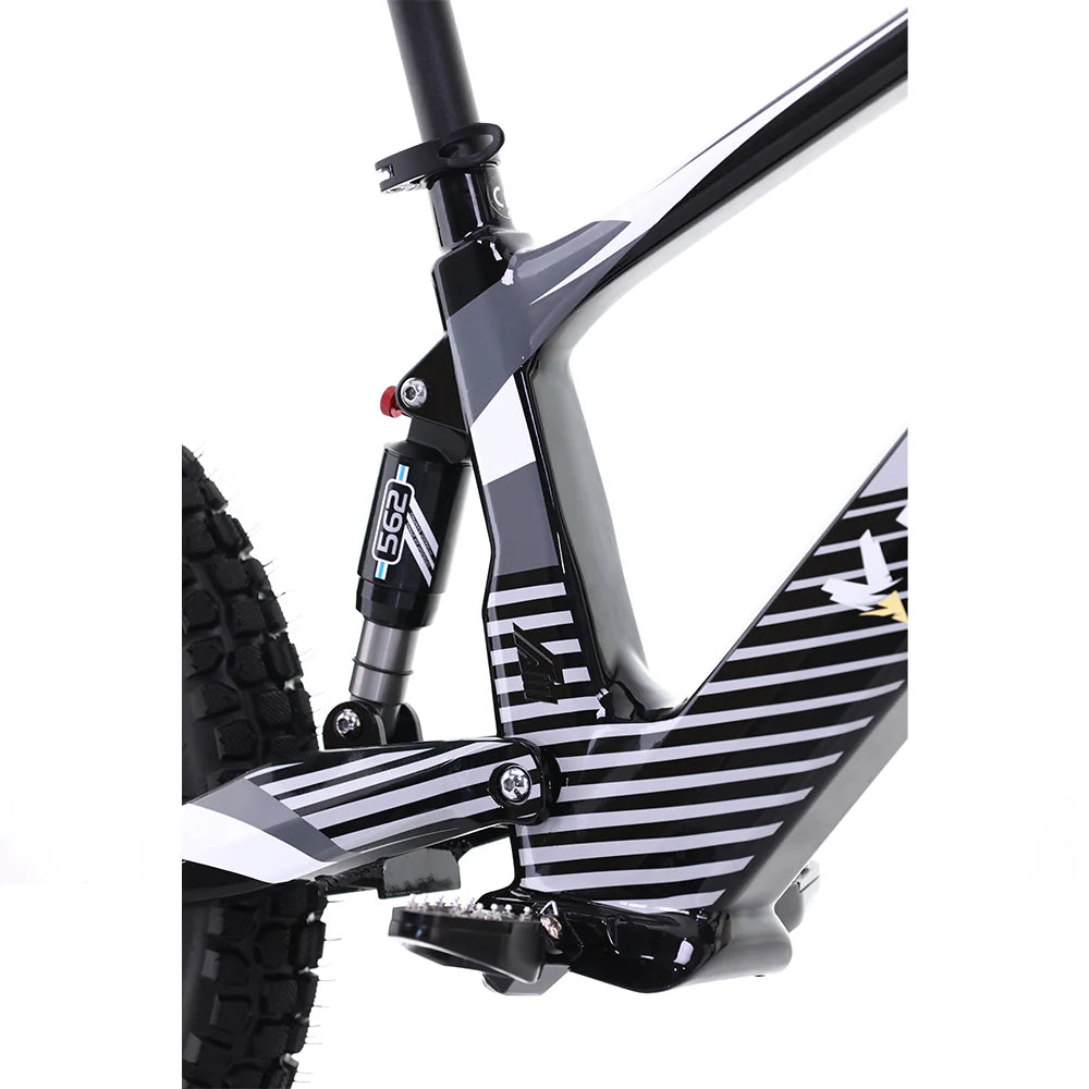 Flying Fox 20'' 48V