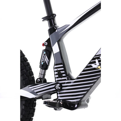 Flying Fox 20'' 48V