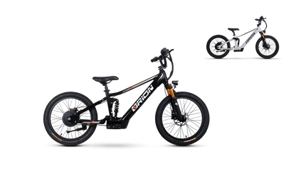 Orion Moto e20X-FS