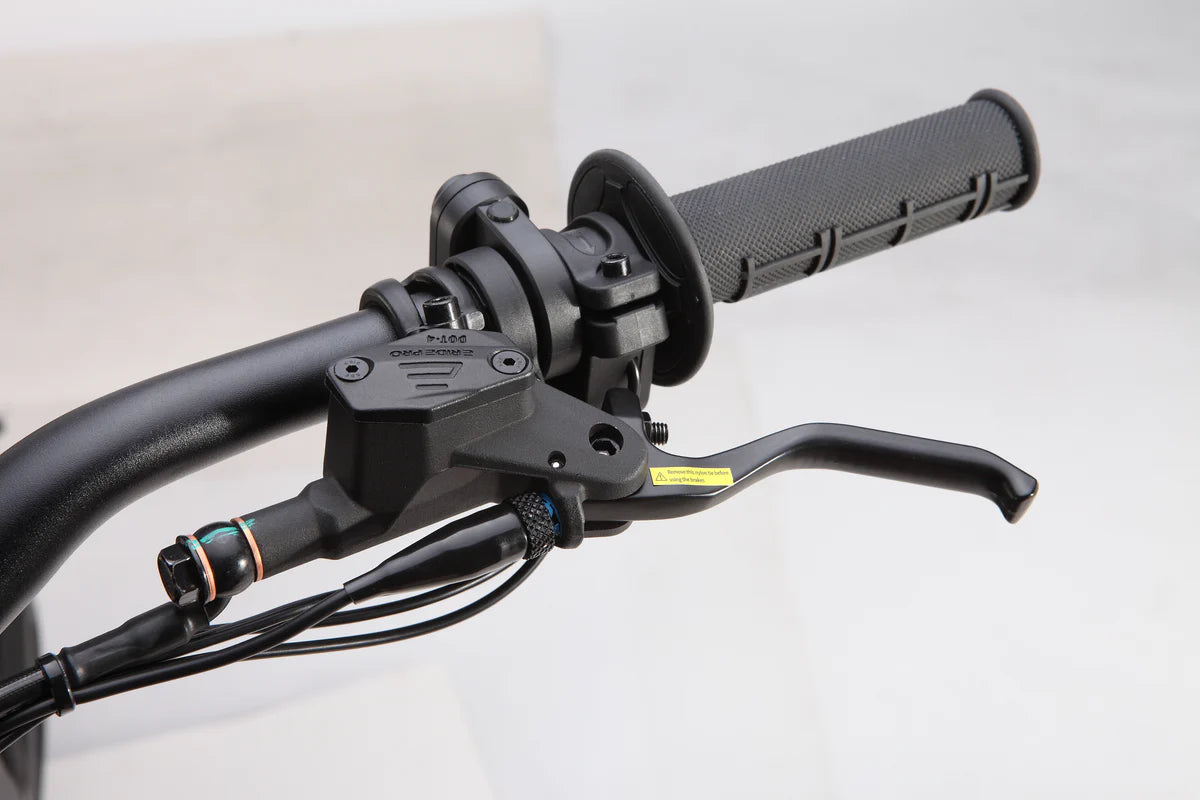E Ride Pro - Brake Levers (Type 1) - SS3.0/SR