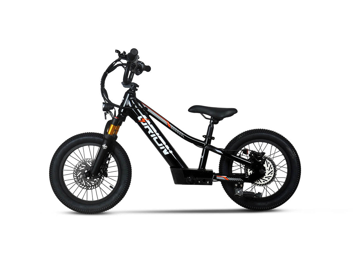 Orion Moto e16X