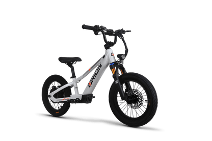 Orion Moto e16X