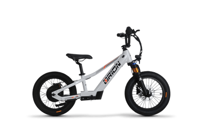 Orion Moto e16X