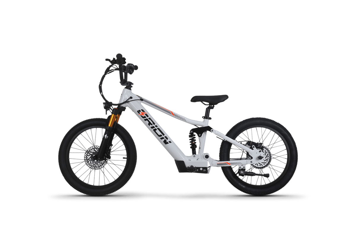 Orion Moto e20X-FS