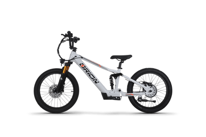 Orion Moto e20X-FS