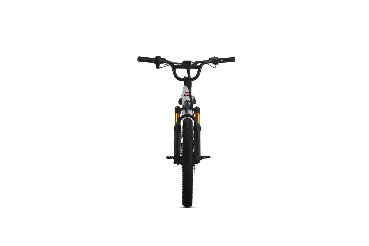 Orion Moto e20X-FS