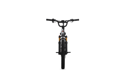 Orion Moto e20X-FS