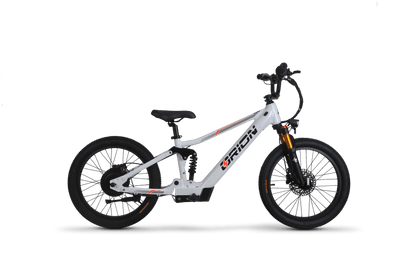 Orion Moto e20X-FS