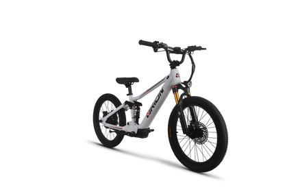Orion Moto e20X-FS