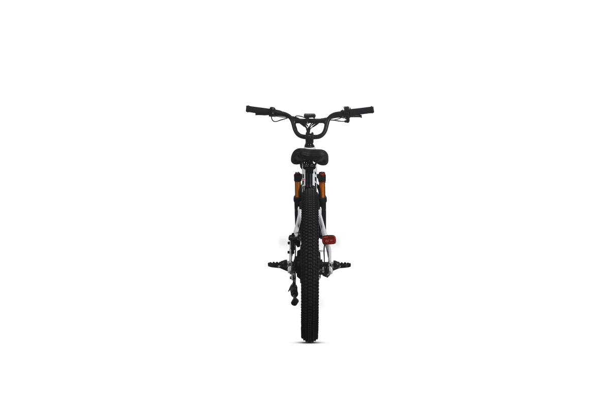 Orion Moto e20X-FS