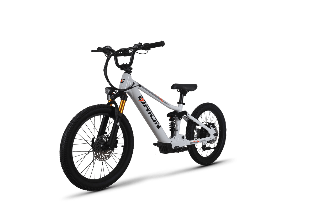 Orion Moto e20X-FS