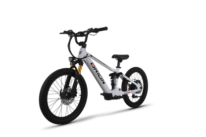 Orion Moto e20X-FS