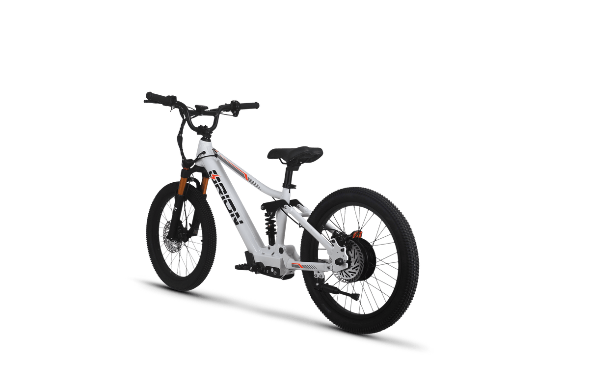 Orion Moto e20X-FS