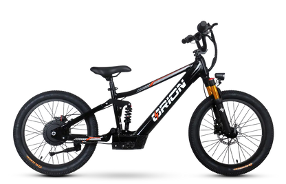 Orion Moto e20X-FS